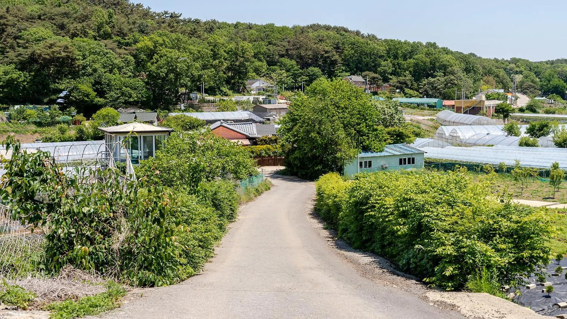 Holiday home Jangmi Pension, Daebudo Incheon